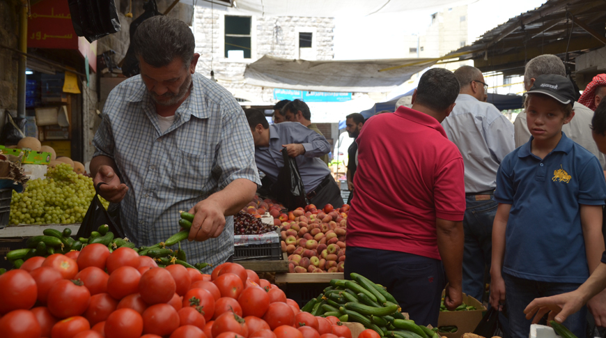The prices of tomatoes are expected to remain high during October, officials say (Photo by Muath Freij)